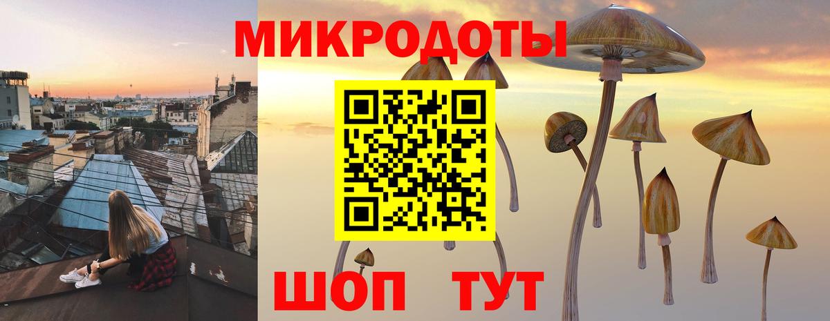 Александров  где купить наркотик  Вход с VPN  Псилоцибиновые грибы MAGIC MUSHROOMS  Псилоцибиновые грибы прущие грибы 